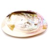 Pearl Shell Purifying Dish, Sold as 1 Pan, Trinket Box,