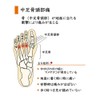 Foot Care Goods.COM Healthy Insole for Metatarsal Head Pain, Decompression
