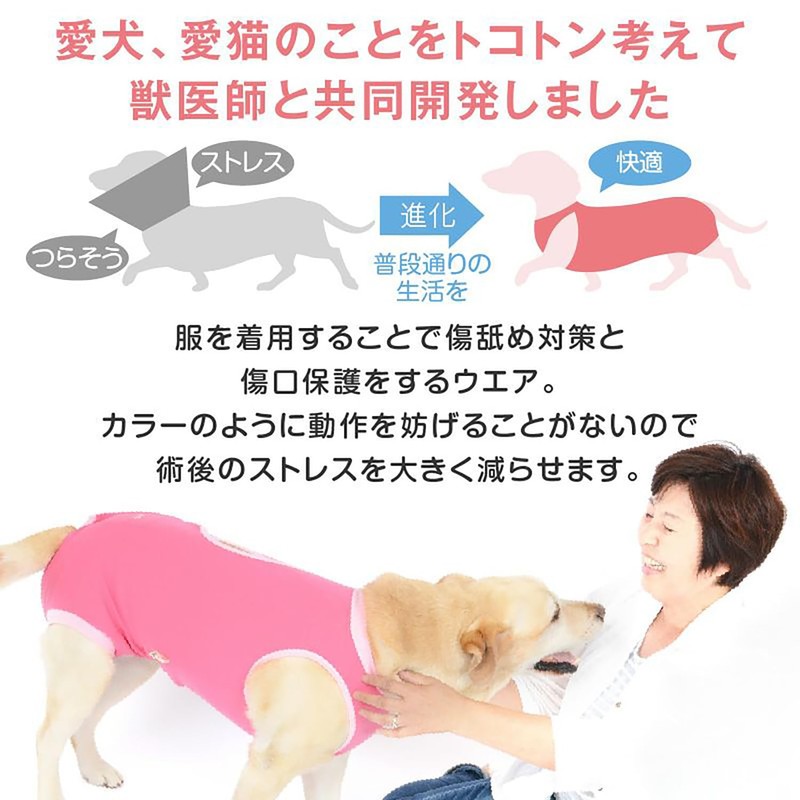Post-surgery Clothing to Replace Cone Collar, (Girl Female/Dachsund/Small Dogs)