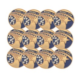 SHOP AWARDS AND GIFTS Rising Star Lapel Pins for Students Appreciation Reward School Teacher Supplies Employee Recognition, Bulk Pack of 12, Poly Bagged, 3/4 Inch