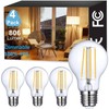 Vinaco A19 LED Edison Bulb Dimmable 8W 120V 2700K Warm