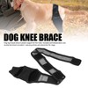Dog Knee Brace Accelerate Recovery and Blood Circulation Dog Torn