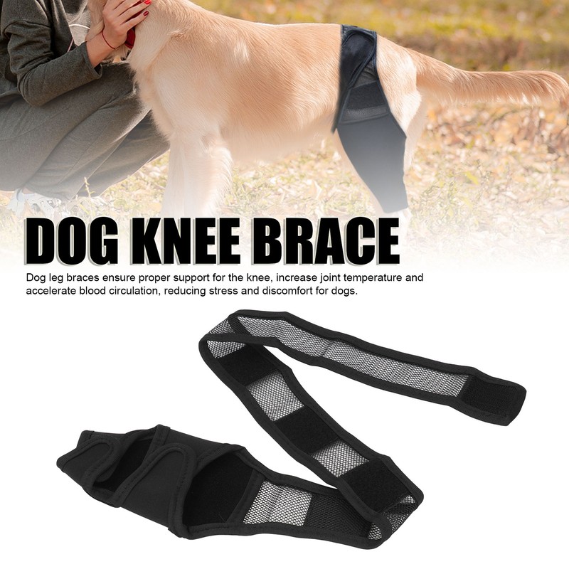 Dog Knee Brace Accelerate Recovery and Blood Circulation Dog Torn