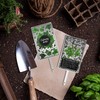 KADAX Signs for herbs, silver metal herb plugs, plant signs,