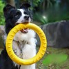 JOYOUTH 犬用おもちゃ 丈夫 投げる 噛むおもちゃ 外径19CM 29CM 浮く 中型犬 大型犬