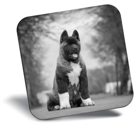 Destination Vinyl ltd Fridge Magnet bw - Large American Akita Puppy Dog #36628
