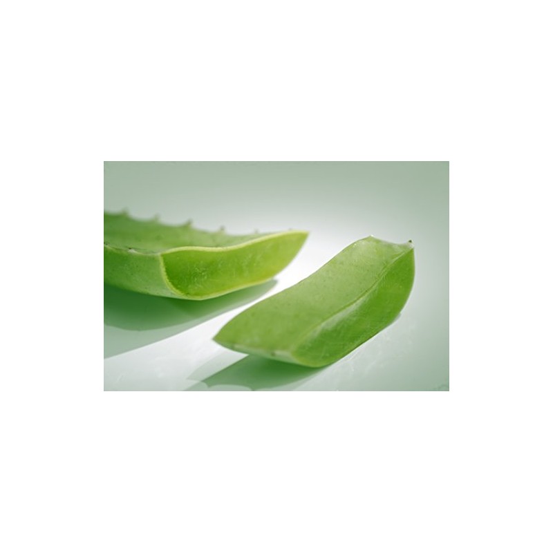 ALOVERIA® ACTIF HYDRATANT CREAM – with 30% pure Aloe Vera and Urea
