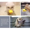 Dog Muzzles Anti Bite Silicone Duck-Bill Duck Mouth Shape Dog