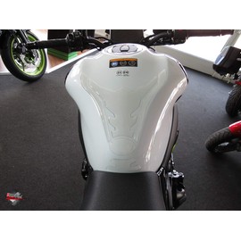 BIKE-label Tank Pad 3D Transparent Paint Protection Compatible with Kawasaki Z900 502920VA