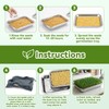 2 Pcs Stainless Steel Seed Sprouting Trays with Towel &