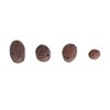 Sren Convenient Clay Pebbles Growing Media, Reusable Anion Clay Rocks,