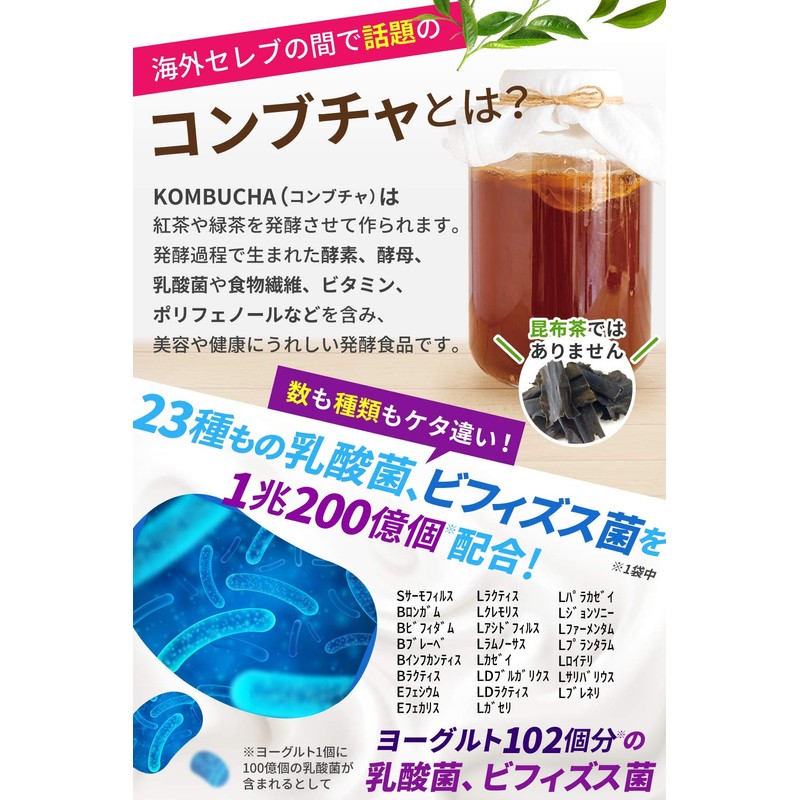 クレンズサプリメント THE CHARCOAL 炭 ダイエット サプリ 乳酸菌 1兆200億個 コンブチャ 60粒
