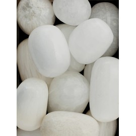 Pachamama Essentials Scolecite Tumbled - Healing Stone - Crystal Healing 20-25mm