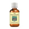 Devprayag Pure German Chamomile Essential Oil (Matricaria recutita) Natural Therapeutic