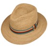 Stetson Littlefield Raffia Hat - Traveller Style - Natural Colour
