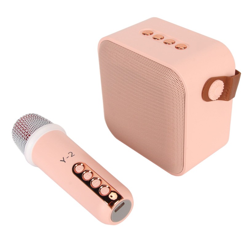 Mini Karaoke Machine Set Portable Bluetooth Speaker with 1 Wireless