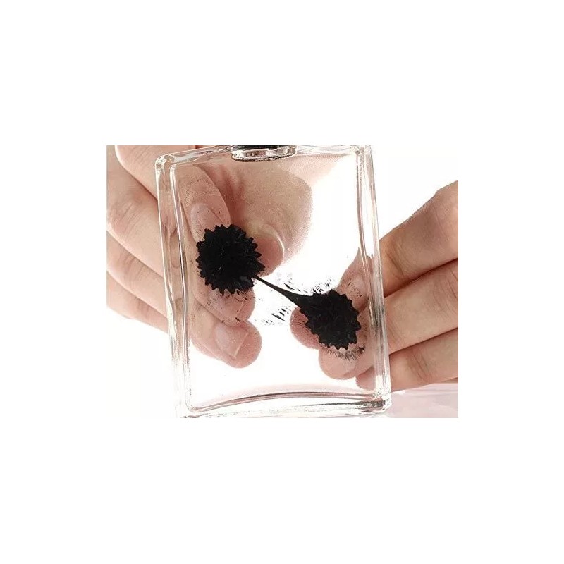 C&H Solutions Amazing Ferrofluid Magnetic Display in a Bottle ,