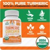 Organic Turmeric Curcumin with Black Pepper Extract 2000mg - High
