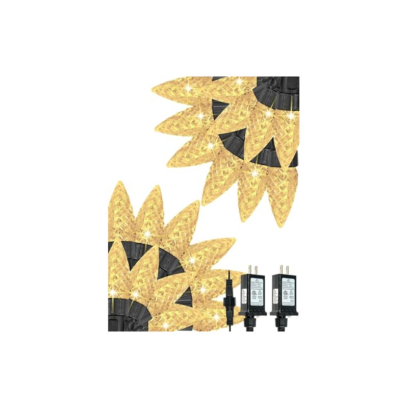 2 Pack C6 Christmas Lights Outdoor Indoor, Total 200 LED
