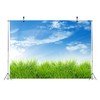 Loccor Fabric 7x5ft Blue Sky Backdrop Spring Nature Grass Blue