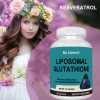 Re Lierre Cpsulas Antioxidantes De Resveratrol Blanco Sin Sabor