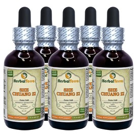 She Chuang Zi (Fructus Cnidii) Tincture, Organic Dried Fruits Liquid Extract (Brand Name: HerbalTerra, Proudly Made in USA) 5x2 fl.oz (5x60 ml)