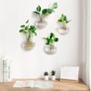 Mkono Wall Hanging Glass Terrariums Planter Oblate Flower Vase for
