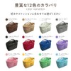 CtwoQ Women's Bag-In Bag, Bottom Plate and Strap Included, Storage
