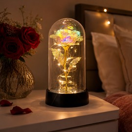 Eternal Rose Gift for Her – Acrylic Rose Display with LED Light for Valentine’s Day, Anniversary & Wedding Decor