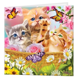 3D LiveLife Greeting Card - Kitten Fun Time from Deluxebase. Lenticular 3D Blank Greeting Cards with Envelopes. Cute Kitten All Occasion Greeting Cards featuring Original Artwork by Michael Searle.