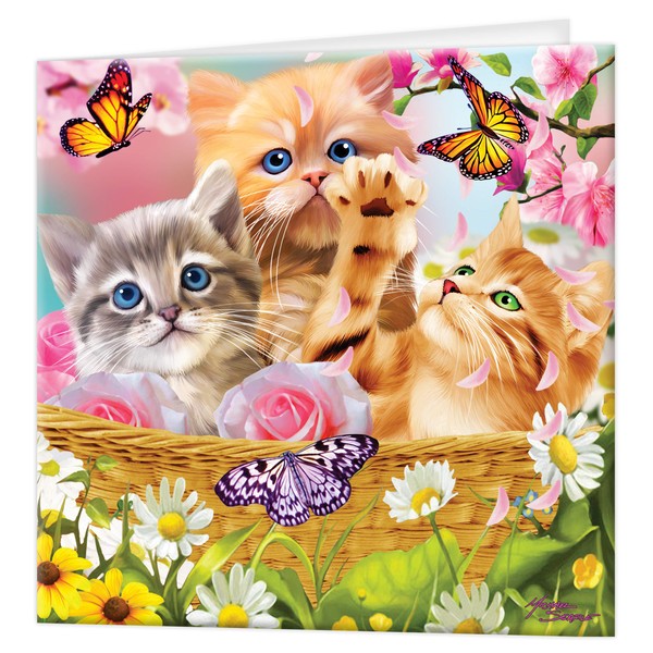3D LiveLife Greeting Card - Kitten Fun Time from Deluxebase.