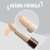 Rimmel Hide The Blemish Corrector 004