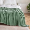 MIULEE Flannel Fleece Throw Blanket Soft Fluffy Solid Color Comfortable