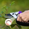 Pack of 6 Spring for Secateurs, 6 cm Spiral Garden