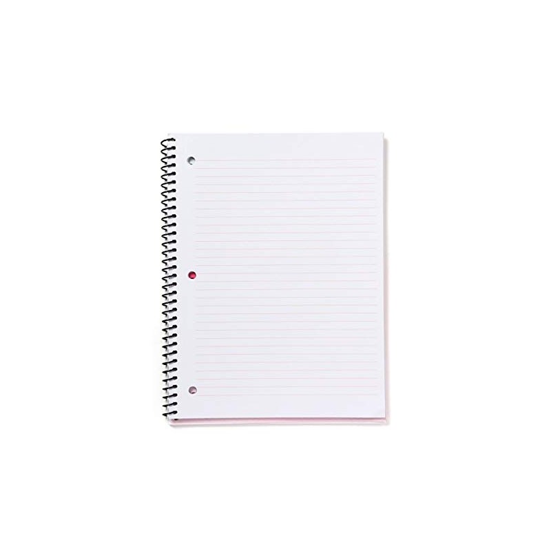 Gartner Studios Goals Spiral Notebook, Pink and Blue, 8 by
