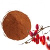 Cornelian Cherry Extract Powder 1kg