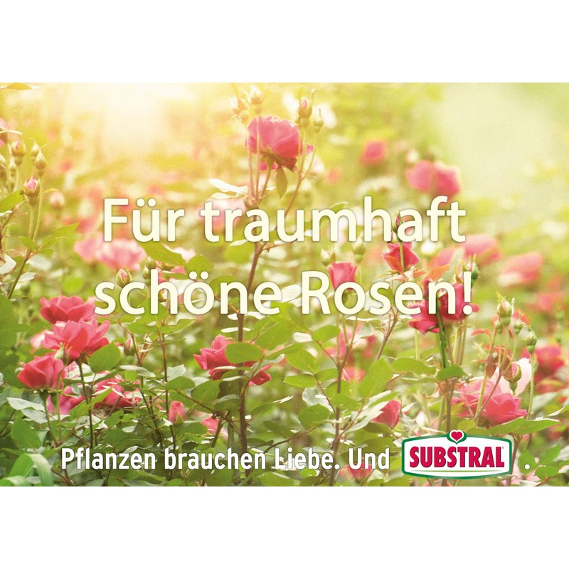 Celaflor Fungus-Free Rose Saprol - 100 ml, 250 ml