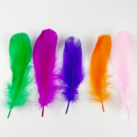 50 Pcs Colorful Feathers for Crafts, Color Feather Fantasy Ornament, Natural Goose Feathers for DIY Dream Catchers Earring Wedding Party Art Crafting Gift Box Filling Decoration Crafts, 18-20cm