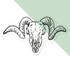 Small 100mm 'Ram Skull' Clear Static Window Cling Sticker/Decal (Black)