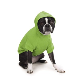 Zack & Zoey Basic Hoodie for Dogs, 24" X-Large, Parrot Green