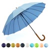 SoulRain 16 Ribs 48" Stick Umbrella Auto Open Solid Color