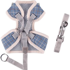 PERANNU Correa para Gato, Cómodo ArnéS para Perro con Correa, Arnés con Correa para Gatos A Prueba De Escape, Arnés Ajustable De Malla Suave para Caminar con Gatitos (Azul,XS)