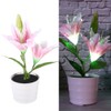 Solar LED Artificial Lily Lamp Simulation Bonsai Decor Flower Light