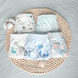 Prettyboy Litter Boy/Girls Cotton Underwear 3-6 Years(5 Pair) Blue