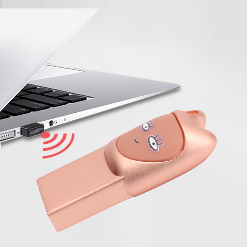 Flash Disk USB2.0 Interface Plugin Free Drive Cartoon U Disk