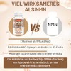 NAD Capsules Alternative 500 mg, 60 Capsules - No Additives,