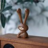 Auerlsroom 아우얼스룸 11번가 도구 우드괄사 모양 마사지 우드 괄사 토끼