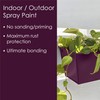 Krylon Fusion All-In-One Adhesive Spray Paint for Indoor/Outdoor Use, 12