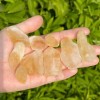 3Pcs Natural Raw Rough Brazilian Citrine Stone Rocks Crystal Mineral
