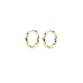 QueenBee 925 Sterling Silver Gold-Plated Small Hoops, Simple Silver, Premium Small Hoops, Minimal Silver Circle, Pure Silver Hypoallergenic Delicate